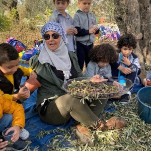 Olive picking activity for Early years.